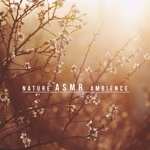 Nature ASMR Ambience: Singing Birds, Soothing Water, Ocean Waves, Soothing Sounds album