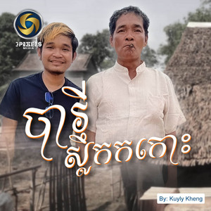 បារីស្លឹកកកោះ
