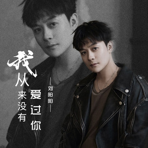 我从来没有爱过你 - Dj默涵版 by 刘阳阳, 默涵