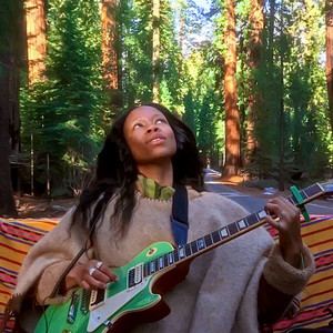 Redwood Resonance by Dianna Lopez