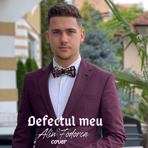 Alin Fodorca - Defectul Meu (Cover)