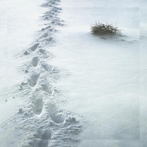 prod. Fletch - So Down