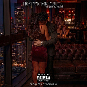 I Don't Want Nobody But You by Dasan Jones