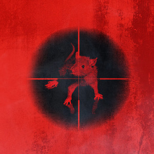 Killing The Rats by Kodak Black
