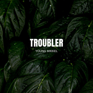 Troubler by Young Mikkel