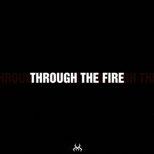 Through The Fire by Cryptic Wisdom