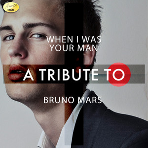 Ameritz - Tribtues - When I Was Your Man