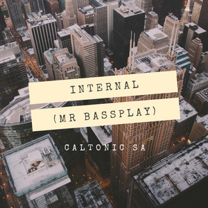 Internal (Mr Bassplay) by Caltonic SA