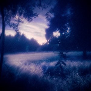 illusory actions by ALLP