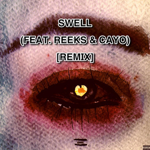 Swell - REMIX by Joshy!, Reeks, Cayo