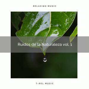 1 Ruidos de la Naturaleza vol. 1 album