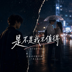 是不是我不值得 by 彼此的过客