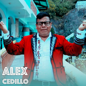 Alex Cedillo - Yo No Se Porque Será