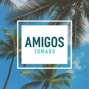 Amigos (Radio Edit) by Tomaro