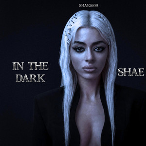 In the Dark by SHAE