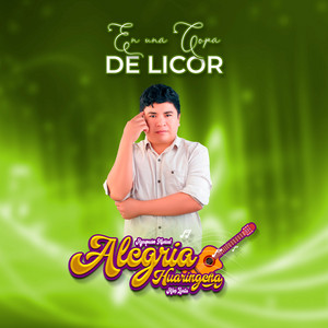 Alegría Huaringueña - En una copa de licor