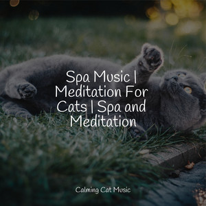 Spa Music | Meditation For Cats | Spa and Meditation album