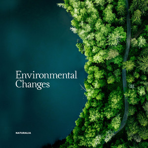 Environmental Changes