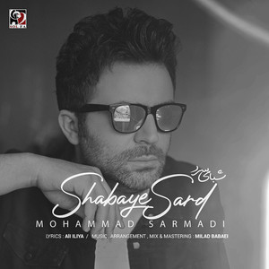 Mohammad Sarmadi - Shabaye Sard