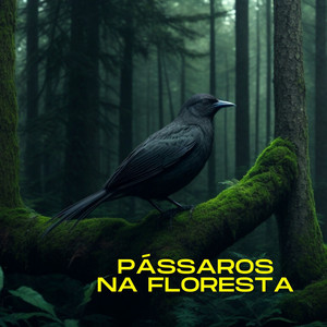 Vozes da Natureza - birds in the forest
