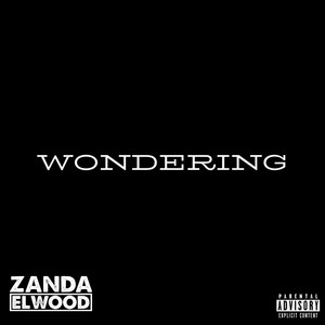 Portada de Wondering