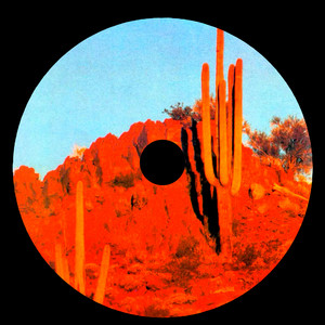 Groove Bloomveil