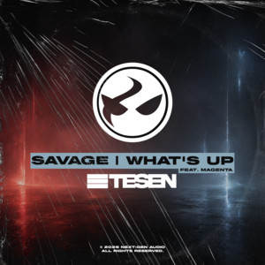 What's Up by Tesen, Magenta