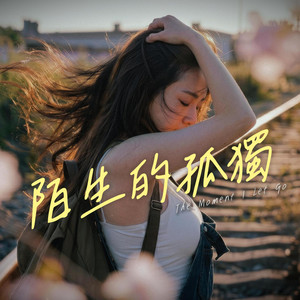 陌生的孤獨 by FadingLoveSongs