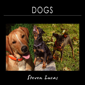 Steven Lucas - Dogs