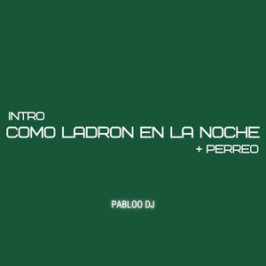 PABLOO DJ - INTRO COMO LADRON EN LA NOCHE + PERREO