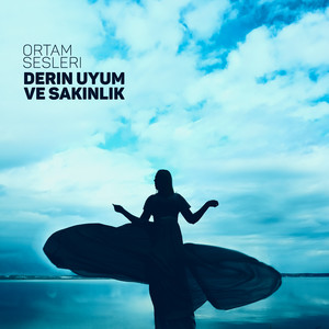 Çamaşır Makinesi