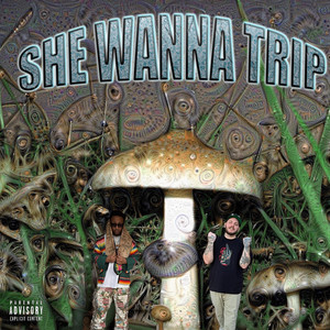 She Wanna Trip by Cj TopOff, KirbLaGoop
