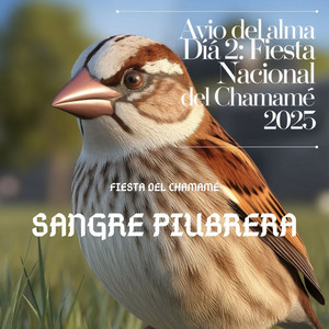 Sangre Paiubrera en Avio del Alma, Dia 2: Fiesta Nacional del Chamamé 2025 (En Vivo)