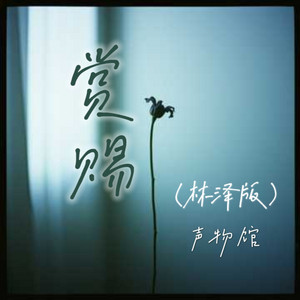 赏赐 - 林泽版-Dj版 by 声物馆, 无名