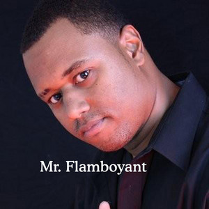A Lone Warrior - Albüm - Mr. Flamboyant | Spotify