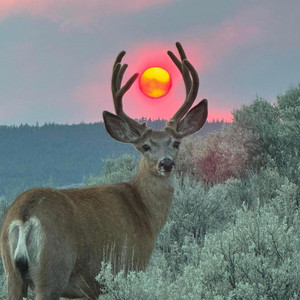 theylovesora - spring