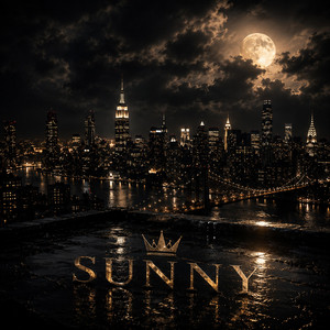 Own The Night by Sunny ELDR