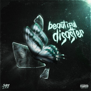 Beautiful Disaster by SAM LEX
