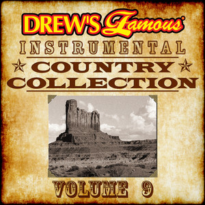 Drew's Famous Instrumental Country Collection, Vol. 9 album
