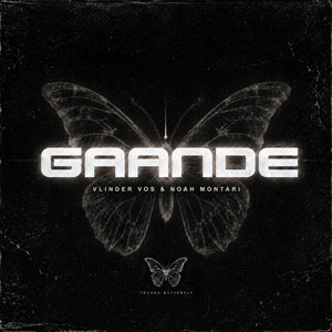 Gaande by Vlinder Vos, Noah Montari