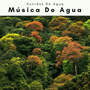 1 Música De Agua album