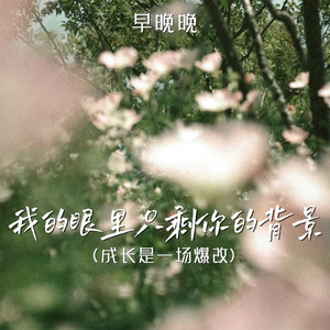 早晚晚 - 我的眼里只剩你的背景 (成长是一场爆改伴奏)