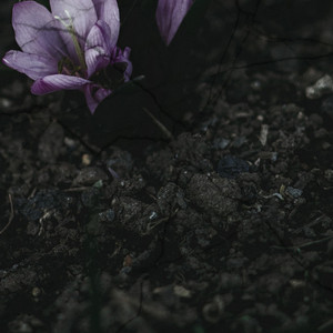 Underneath by aku.mu, Lazy Tree Records