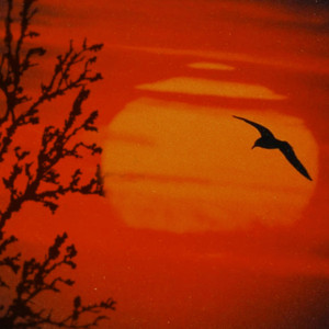 Facing Unknown by Nakani
