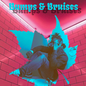 Portada de Bumps & Bruises