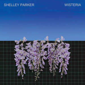 Shelley Parker cover