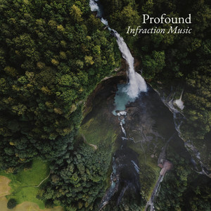 Infraction Music - Profound