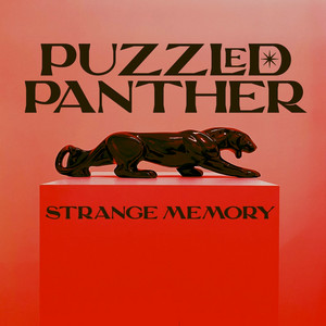 Strange Memory by Puzzled Panther