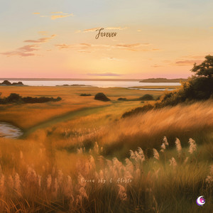 Forever by Orion Sky, Aleste