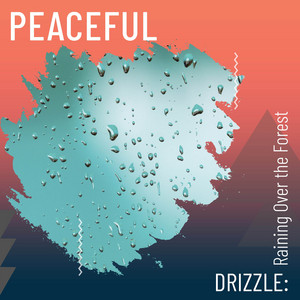 Peaceful Drizzle: Raining Over the Forest album